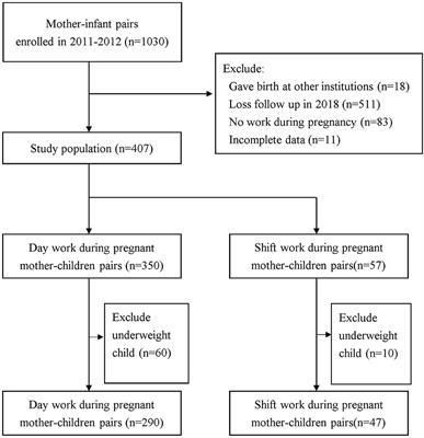 Association between maternal <mark class="highlighted">shift work</mark> during pregnancy child overweight and metabolic outcomes in early childhood